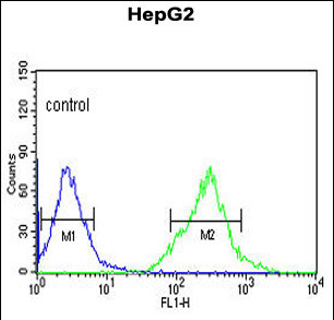 Anti-AFMID antibody, N-term used in Flow cytometry/FACS. GTX80513