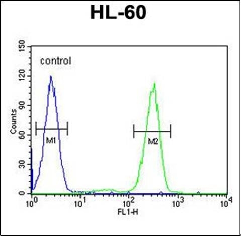 Anti-Aftiphilin antibody used in Flow cytometry/FACS. GTX53529