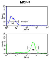Anti-CHPF antibody, Internal used in Flow cytometry/FACS. GTX80597