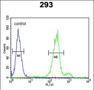 Anti-CLRN3 antibody, C-term used in Flow cytometry/FACS. GTX80544