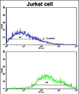 Anti-COG4 antibody, C-term used in Flow cytometry/FACS. GTX81455
