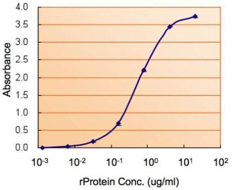 Anti-COMT antibody, Internal used in ELISA. GTX89277