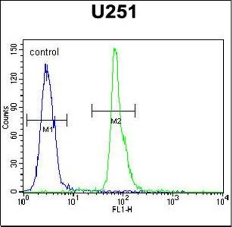Anti-COPZ2 antibody used in Flow cytometry/FACS. GTX53526