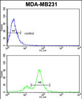 Anti-CYP2A13 antibody, C-term used in Flow cytometry/FACS. GTX81118