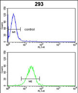 Anti-CYP3A5 antibody, Internal used in Flow cytometry/FACS. GTX81286
