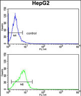 Anti-CYP4F3 antibody, N-term used in Flow cytometry/FACS. GTX81119