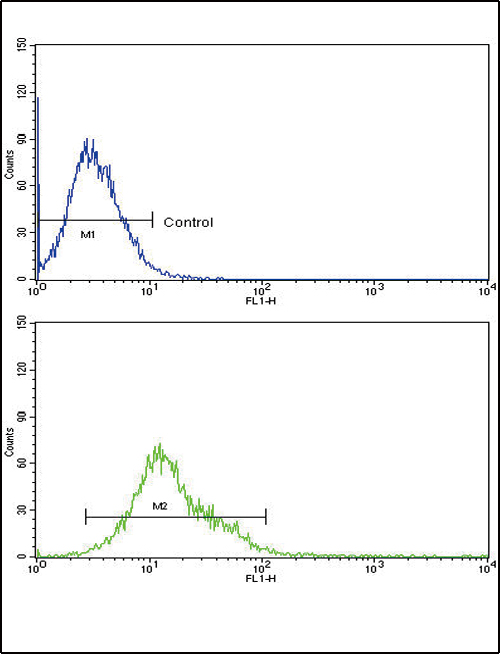 Anti-CYP8B1 antibody, C-term used in Flow cytometry/FACS. GTX81025