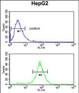 Anti-ELOVL2 antibody, N-term used in Flow cytometry/FACS. GTX80506
