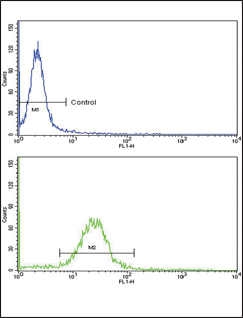 Anti-EPN3 antibody, N-term used in Flow cytometry/FACS. GTX81869