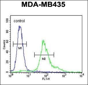 Anti-ERO1LB antibody used in Flow cytometry/FACS. GTX53598