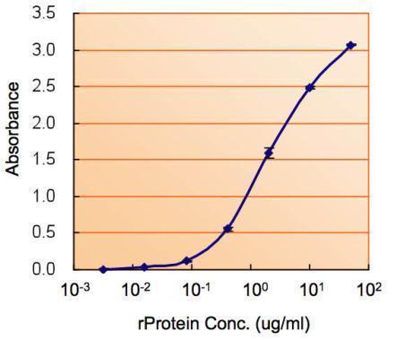 Anti-ALDH2 antibody, Internal used in ELISA. GTX88073