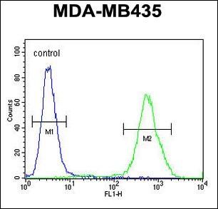 Anti-Exonuclease 5 antibody used in Flow cytometry/FACS. GTX53538