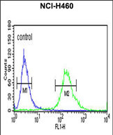 Anti-ALG14 antibody, Internal used in Flow cytometry/FACS. GTX80951