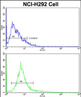 Anti-ALKBH8 antibody, C-term used in Flow cytometry/FACS. GTX81711