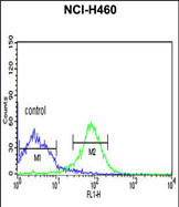 Anti-FKBP14 antibody, N-term used in Flow cytometry/FACS. GTX81835