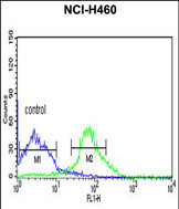 Anti-FKBP9 antibody, C-term used in Flow cytometry/FACS. GTX81479