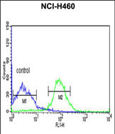 Anti-FKBP9 antibody, N-term used in Flow cytometry/FACS. GTX81480