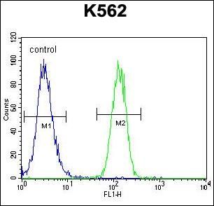 Anti-FOXI3 antibody used in Flow cytometry/FACS. GTX53545