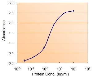 Anti-FOXO4 antibody, Internal used in ELISA. GTX89101