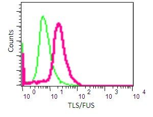 Anti-FUS antibody [EPR5813] used in Flow cytometry/FACS. GTX63610