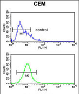 Anti-FUT1 antibody, Internal used in Flow cytometry/FACS. GTX81834