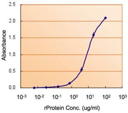 Anti-G6PD (aa 308 - 320) antibody, Internal used in ELISA. GTX89057
