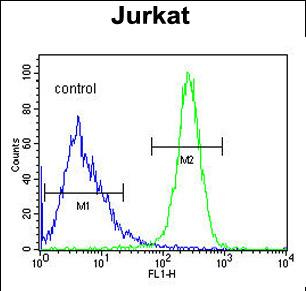 Anti-ANGEL1 antibody, C-term used in Flow cytometry/FACS. GTX80925