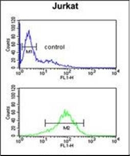 Anti-ANKRD49 antibody used in Flow cytometry/FACS. GTX53524