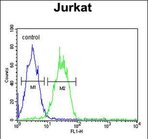 Anti-ARGLU1 antibody, N-term used in Flow cytometry/FACS. GTX80436