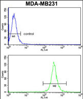 Anti-ARHGAP18 antibody, Internal used in Flow cytometry/FACS. GTX81203