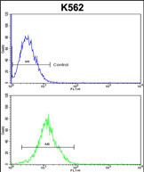 Anti-ATP12A antibody, Internal used in Flow cytometry/FACS. GTX81091