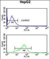 Anti-BANK1 antibody, Internal used in Flow cytometry/FACS. GTX81106