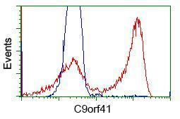 Anti-C9orf41 antibody [1E8] used in Flow cytometry/FACS. GTX84741