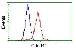 Anti-C9orf41 antibody [4A2] used in Flow cytometry/FACS. GTX84742
