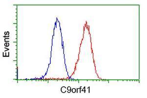 Anti-C9orf41 antibody [4A2] used in Flow cytometry/FACS. GTX84742
