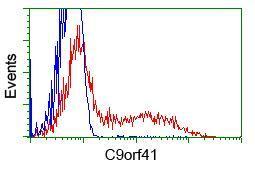 Anti-C9orf41 antibody [6E4] used in Flow cytometry/FACS. GTX84740