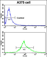 Anti-CA14 antibody, N-term used in Flow cytometry/FACS. GTX81537