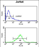 Anti-CASD1 antibody, N-term used in Flow cytometry/FACS. GTX80980