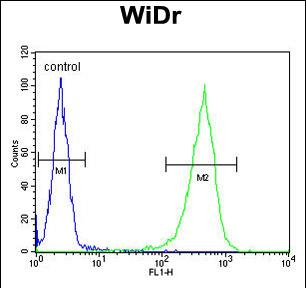 Anti-CCDC3 antibody, C-term used in Flow cytometry/FACS. GTX81055