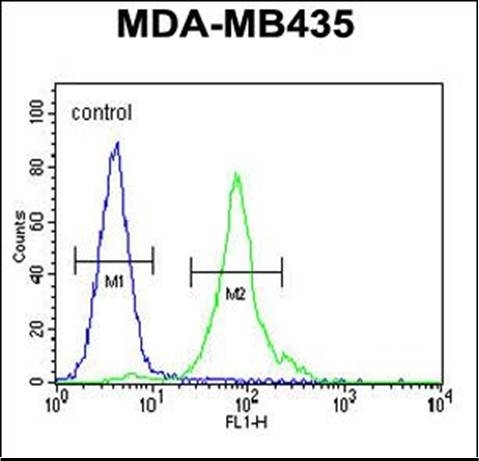 Anti-CCDC81 antibody used in Flow cytometry/FACS. GTX53480