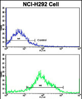 Anti-MyoGEF antibody, N-term used in Flow cytometry/FACS. GTX81649