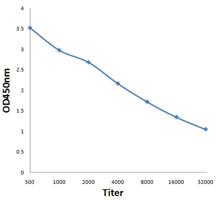 Anti-NETO1 antibody used in ELISA. GTX60315