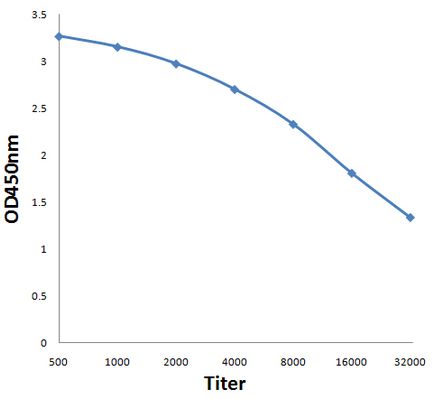 Anti-NLGN2 antibody used in ELISA. GTX51022