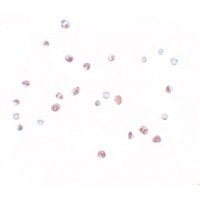 Anti-NOD4 antibody used in ICC/IF. GTX85160