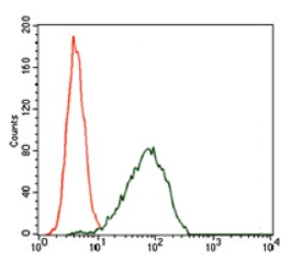 Anti-p14ARF antibody [1D7D2] used in Flow cytometry/FACS. GTX60663