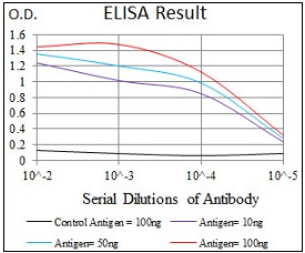 Anti-p14ARF antibody [1D7D2] used in ELISA. GTX60663