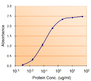 Anti-PAI-1 antibody, Internal used in Western blot. GTX89568