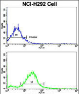 Anti-RARS2 antibody, C-term used in Flow cytometry/FACS. GTX81155