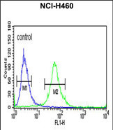 Anti-ITGBL1 antibody, Internal used in Flow cytometry/FACS. GTX81030