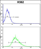 Anti-ITM2A antibody, N-term used in Flow cytometry/FACS. GTX81726